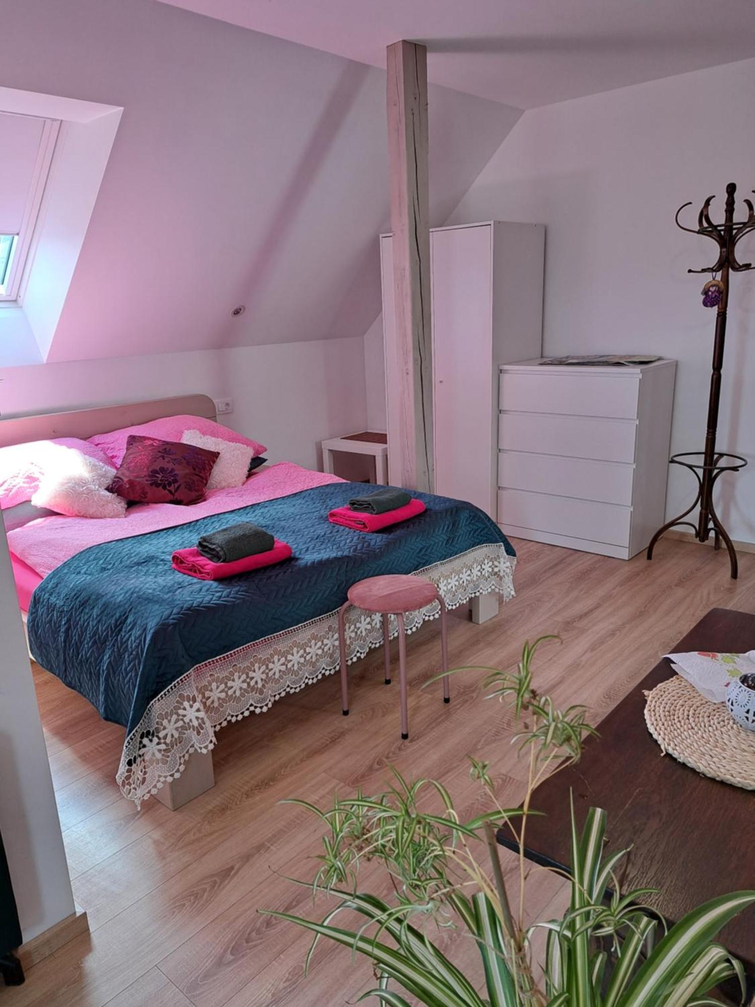 지고르니예 고르예 Apartmaji Magda 아파트 외부 사진