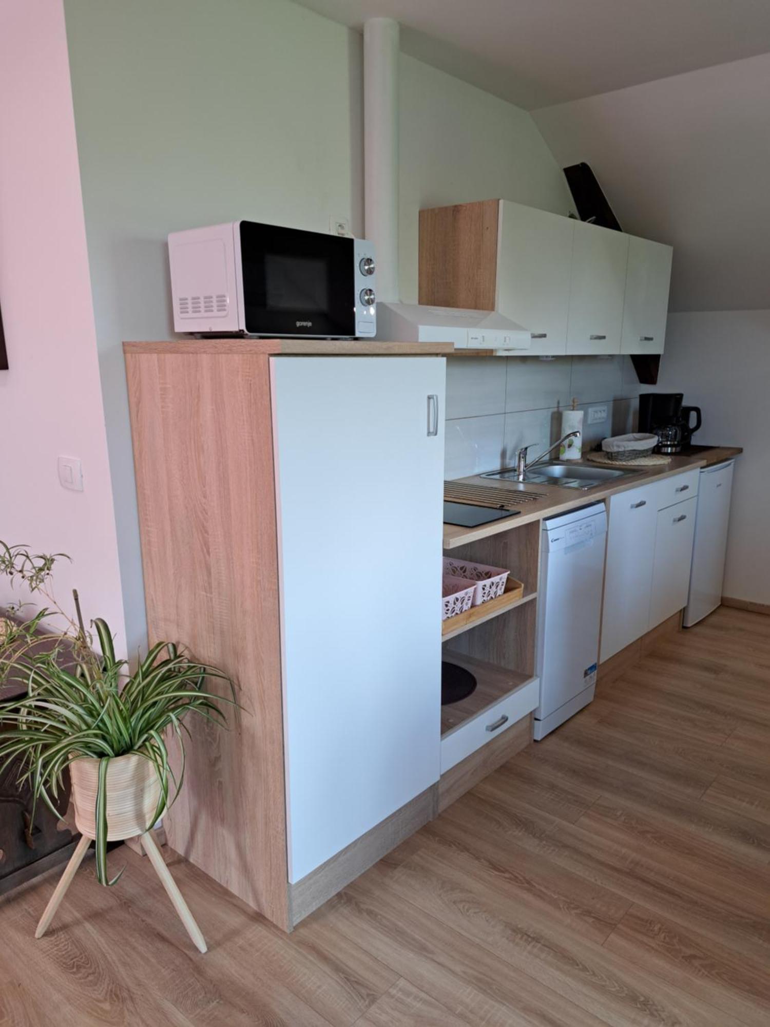 지고르니예 고르예 Apartmaji Magda 아파트 외부 사진